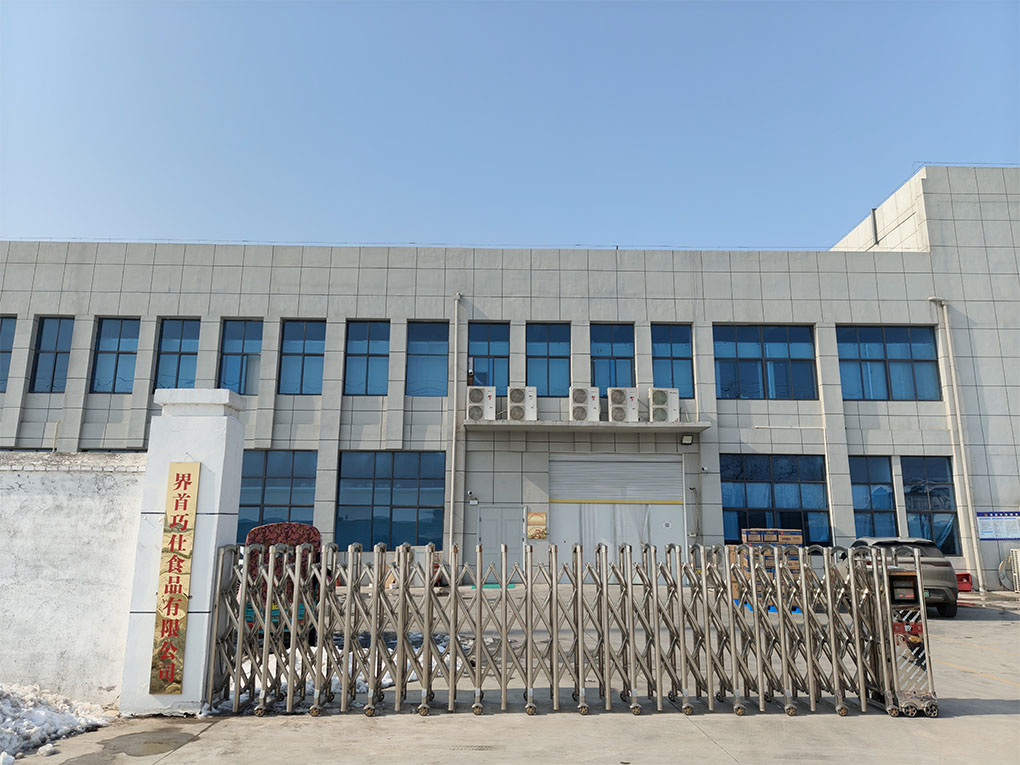 界首巧仕食品有限公司厂区外景