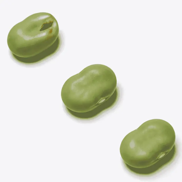 绿色豆形巧克力